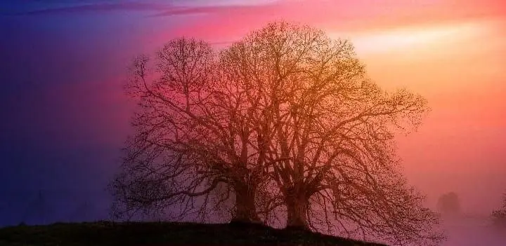 Taller Mirada Sistémica y Constelaciones Familiares